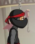 <span style=color:green>RT Ninja</span>